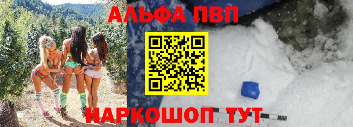 A PVP СК Майкоп