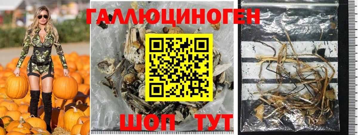 сколько стоит  Галлюциногенные грибы Psilocybine cubensis  Галлюциногенные грибы мухоморы  Вход с VPN  Майкоп 