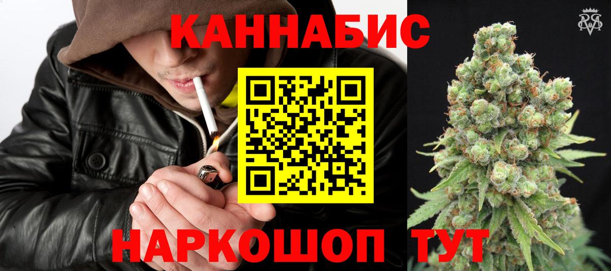 Бошки марихуана сатива Майкоп